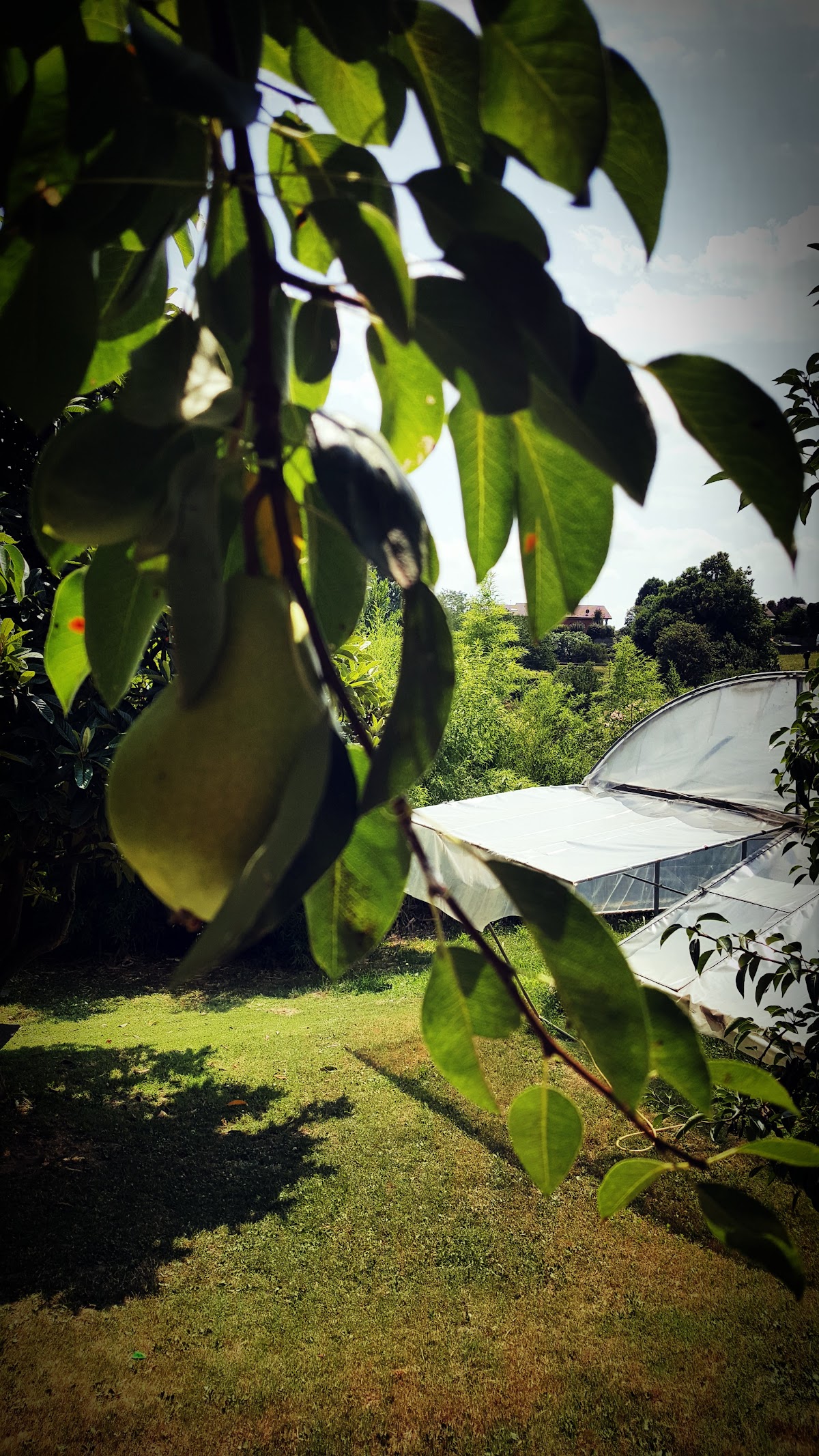 Agriturismo La Vigna - 10